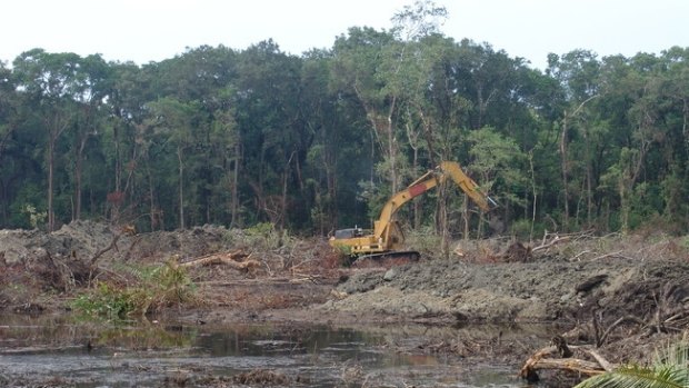 NSW is keen not to follow Queensland's surge in land clearing after that state eased its laws.