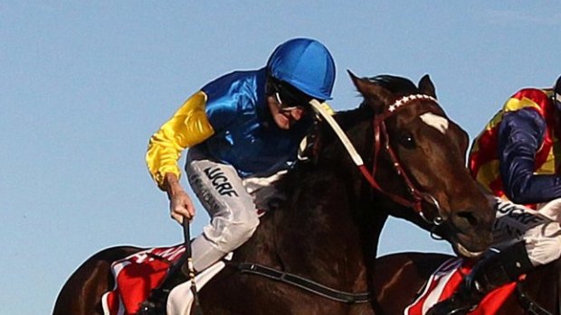 Black Heart Bart will be in the Makybe Diva Stakes.