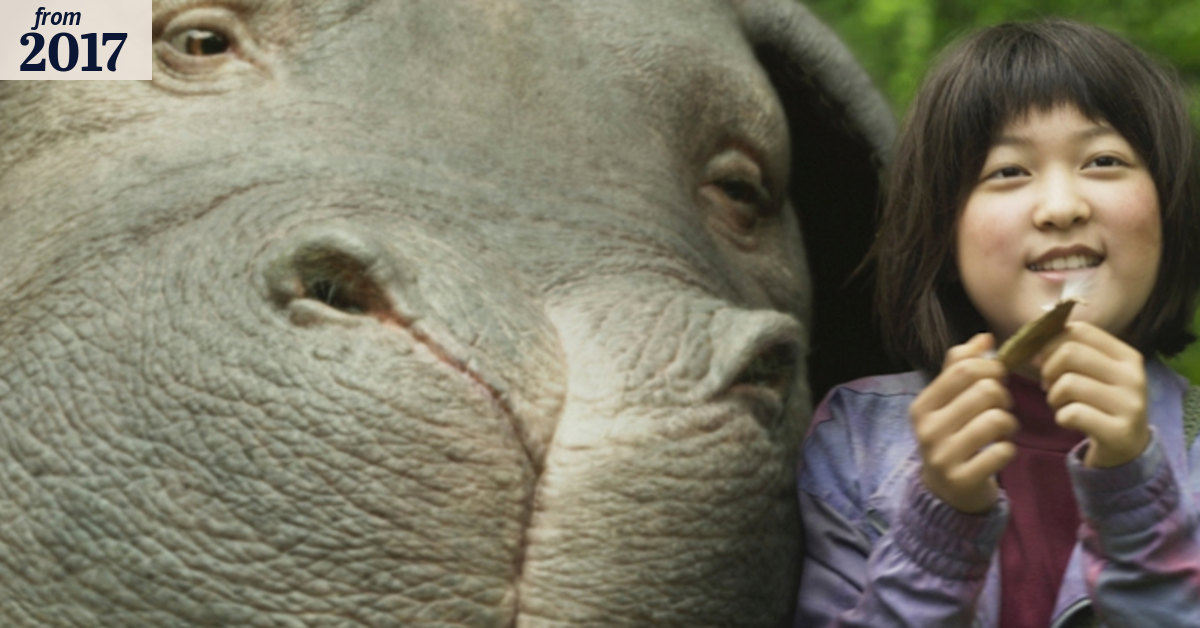 Bong Joon-ho's super-pig movie Okja expected to be Netflix's first ...