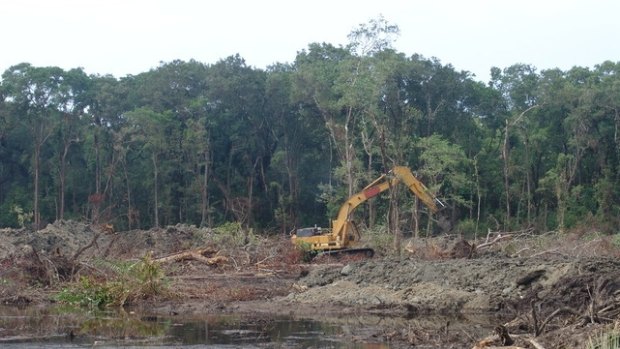 Environment Minister Dr Steve Miles said increased land clearing in Queensland was 'catastrophic' for atmosphere and for the Great Barrier Reef.
