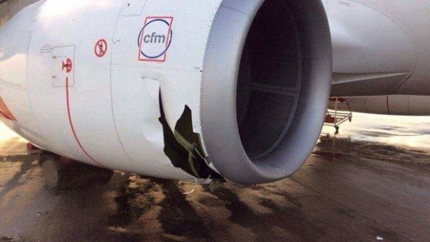 Equipment blown by winds in the storm ruptured the engine of this aircraft at Brisbane Airport.