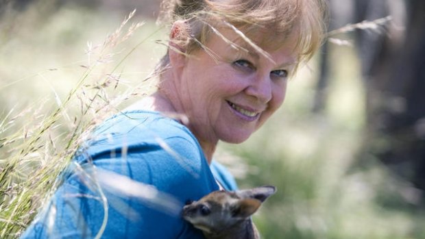 Learning from local wildlife: In 2005 with a wallaby joey.