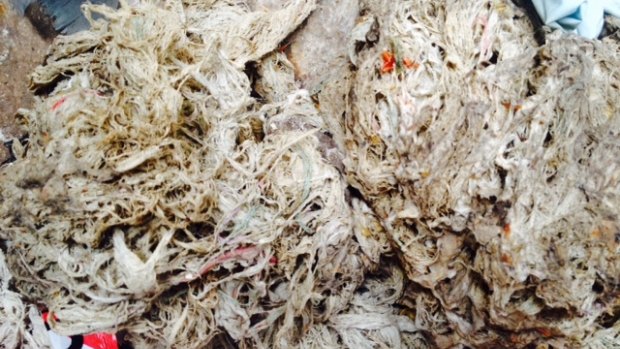 Wet wipes accumulating at a South East Water treatment plant. 