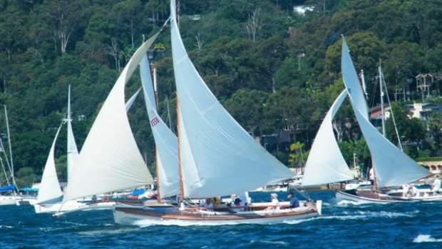 Yachts compete on Pittwater.