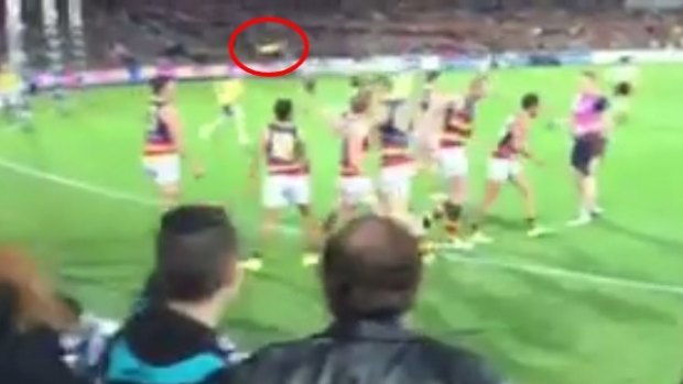 A still from a video showing a woman, bottom left, allegedly throwing a banana at a group of Adelaide Crows players.