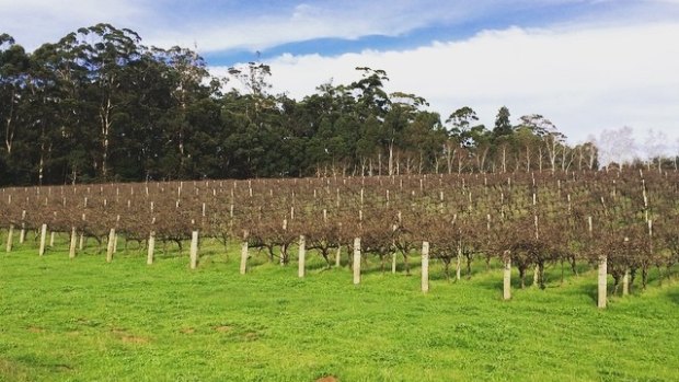 Chateau June Jerome is banking on Australia's reputation for clean, green produce. 
