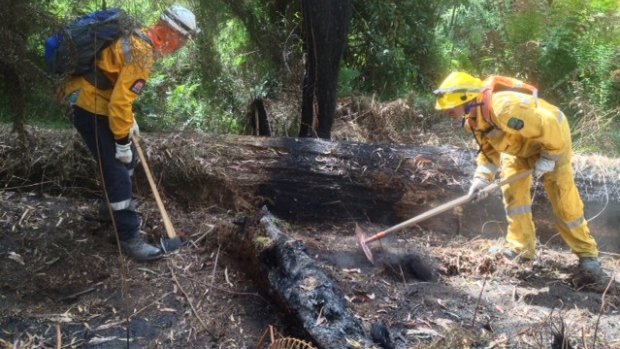 Firefighters at the Wye River-Jamieson Track blaze inspect a smouldering log.