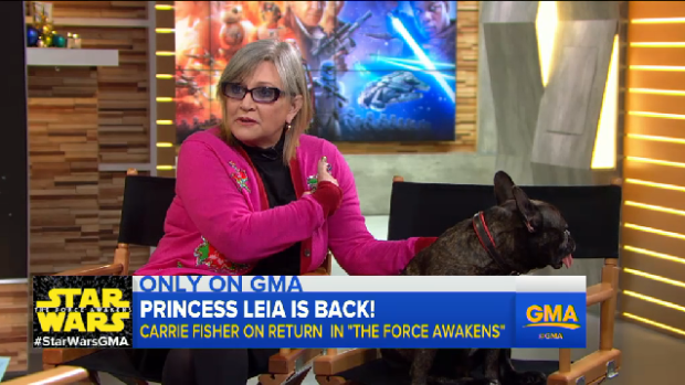 Carrie Fisher brought her dog Gary along because his tongue matched her sweater.
