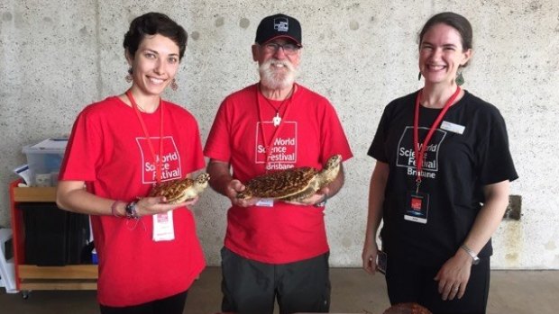 Bill Tomkins working alongside first time volunteer Margarita Sheliakina, and Queensland Museum's Katherine Griffin.