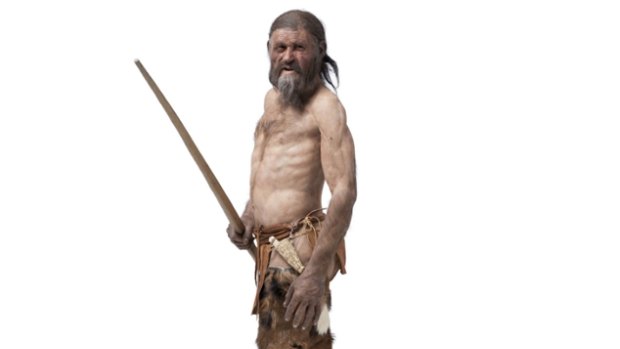 Otzi the Iceman as he would have looked. 