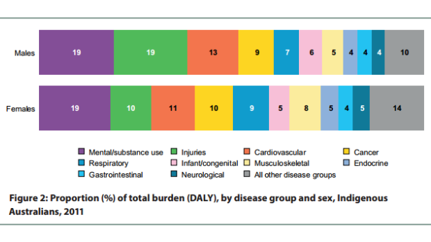The total health burden of various disease groups on Indigenous Australians.