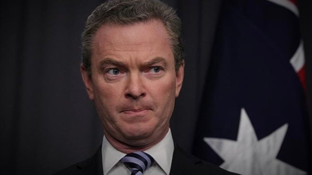Counting his calories: Christopher Pyne.