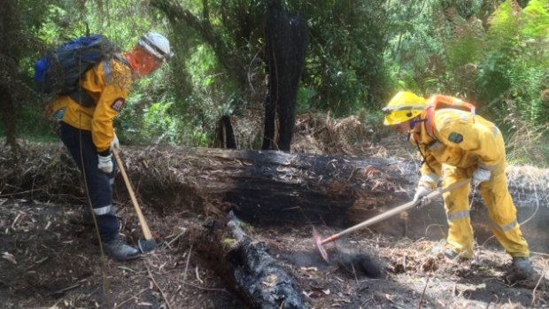 Firefighters at the Wye River -Jamieson Track blaze inspect a smoldering log.