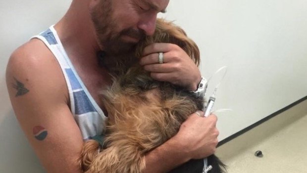 Mr Whyte said goodbye to his seven-year-old dog, Rocket, one day after taking him into the vet.