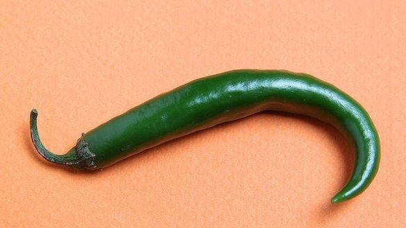 Long chillies can be up to 15 centimetres long and ripen from green to red. 