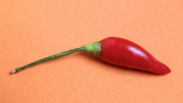 Bird's eye chillies can pack a wallop. Ripe, red bird’s eyes are widely used in south-east Asian dishes. 
