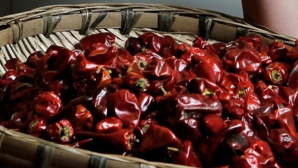 Heavenly facing chillies or facing heaven chillies are dried Sichuan chillies and are so named because they grow skywards rather than down. Fragrant, lemony and moderately hot, they're between three and six centimetres in length, with thin skin. 
