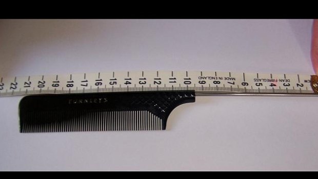 A hairdresser's tail comb found at the scene of the killings.