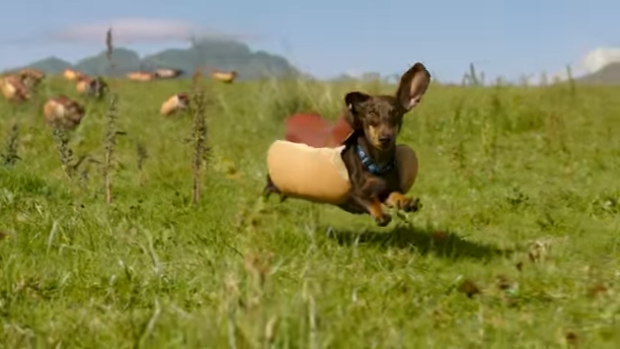 The commercial has won plaudits from dachshund lovers.