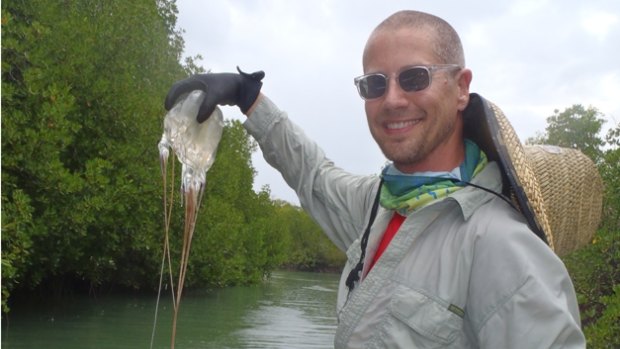 Bryan Fry rates the sting of the box jellyfish as the worst Australian wildlife has to offer. 