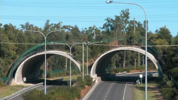 The smart mammal bridge over Compton Road at Kuraby.