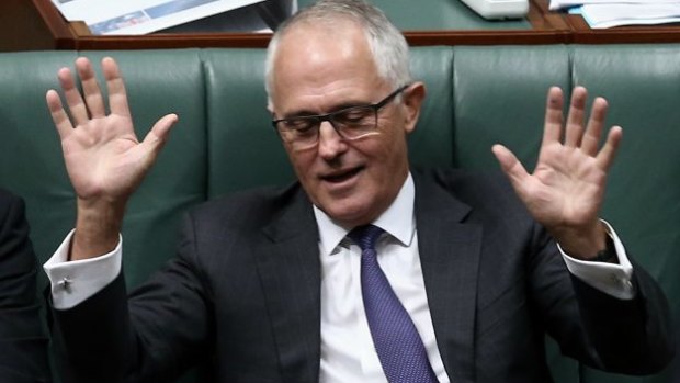 Content to wait: Communications Minister Malcolm Turnbull.
