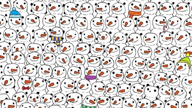 Can you spot the panda?