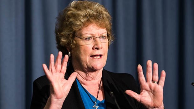 Health Minister Jillian Skinner has resisted calls for a special commission of inquiry.