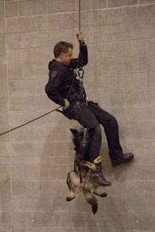 Vancouver Police Department (Facebook)