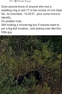A moose hunter posted about the find on Facebook.