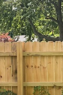 Neighbours feud fence