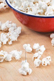 Stringing popcorn to use as a Christmas celebration.