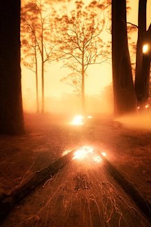 Mr Markham took this photo approximately 20 minutes after the main fire front had passed. He said the ground was glowing. 