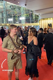 Robert Irwin at the ARIAs