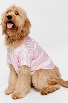 Peter Alexander Pink Stripe Satin Doggy Shirt