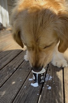Nelson celebrating his third birthday