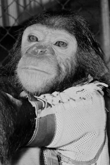 Enos, 1961