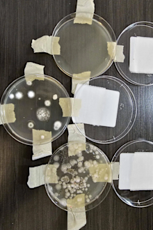 Guest's shocking find after testing Airbnb air quality