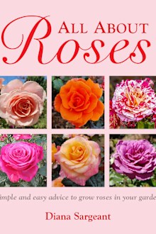 Gardening tips roses