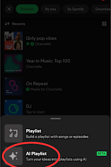 Spotify Wrapped hack