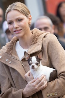Princess Charlene of Monaco, and her rescue dog Harley, at the Rokethon, a solidarity walk dedicated to combating the abandonment of animals, on November 3, 2025.