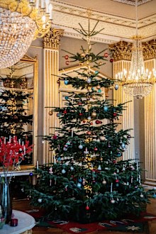 The 2024 Christmas tree inside Frederik VIII's Palace at Amalienborg, the home of King Frederik and Queen Mary of Denmark.
