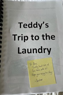 Alex the Astronaut's lost teddy at Club Tropical Resort in Darwin.