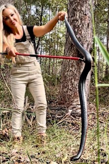 Courtenay Brown snake catcher