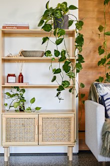 Kmart Living Collection February 2021