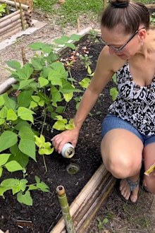 Gardening TikTok hack slugs