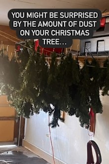 Tanja Bentley Ward washed and dried her Christmas tree, here it is hanging from rope in the garage.