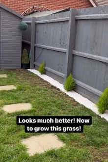 Gardening tips DIY