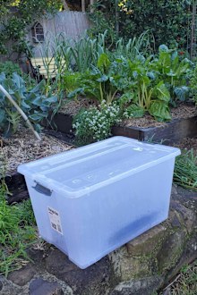 Phil Dudman's storage container greenhouse hack for starting spring seeds in winter