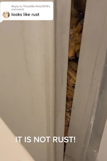 TikTok shock bathroom find